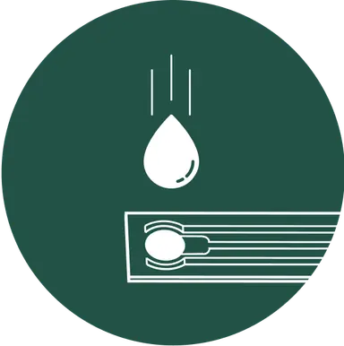 api image